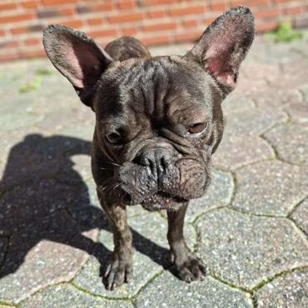 Peter - ist unkompliziert