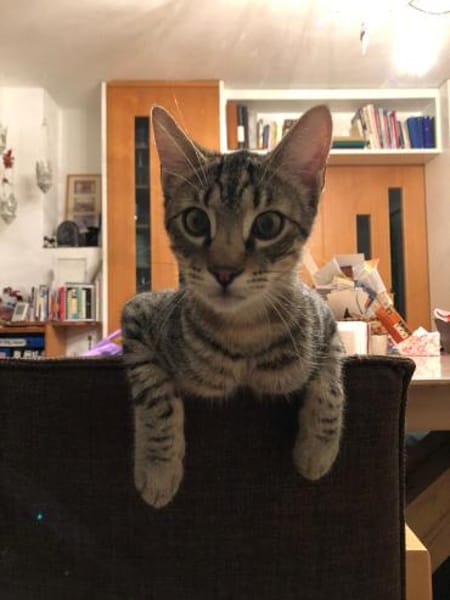 Monty Energiebündel und Schmusebacke