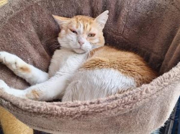 Unsere zarte und verkuschelte Maya