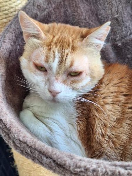 Unsere zarte und verkuschelte Maya