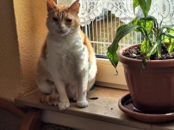 Unsere zarte und verkuschelte Maya