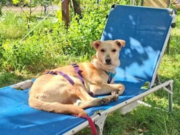 GIOVANNI PICCOLO -Dank Urlauber gerettet