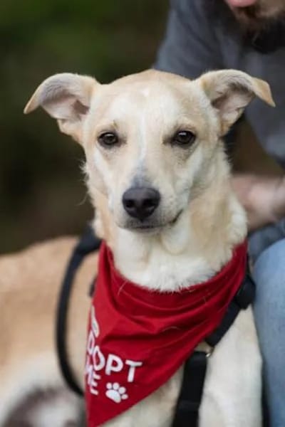 GIOVANNI PICCOLO -Dank Urlauber gerettet