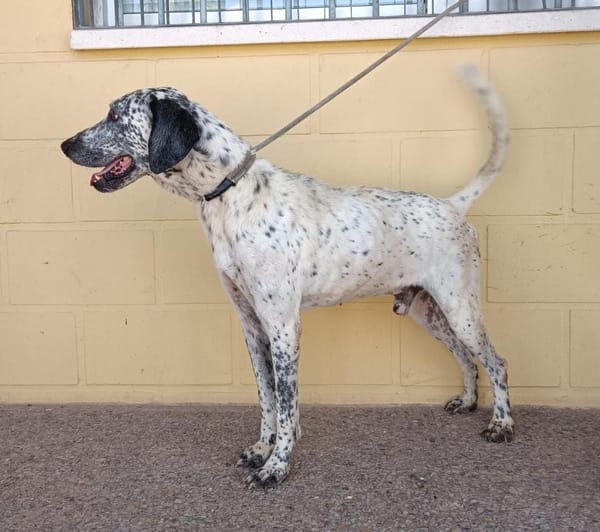 LUCHO (Maria)