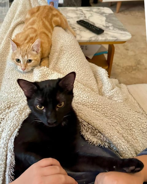 BAGHEERA & ALOHA