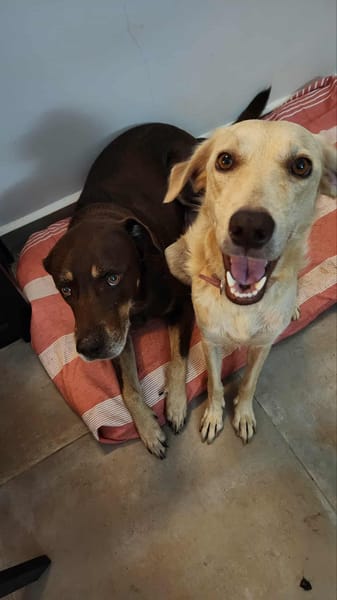 Suzie la douce et belle louloute
