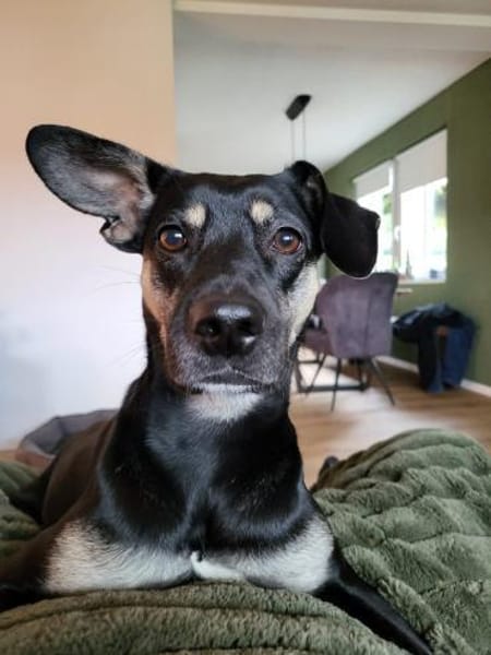 Ronja ❤