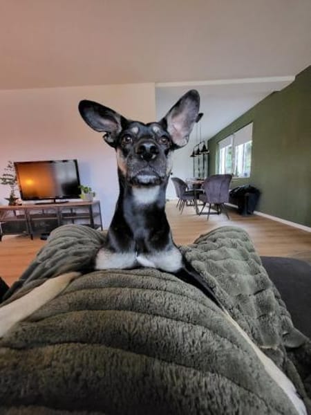 Ronja ❤