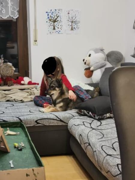 Maja - sucht ein neues Zuhause