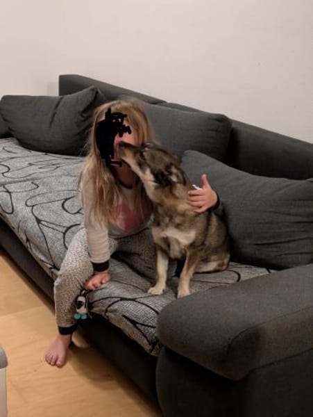 Maja - sucht ein neues Zuhause