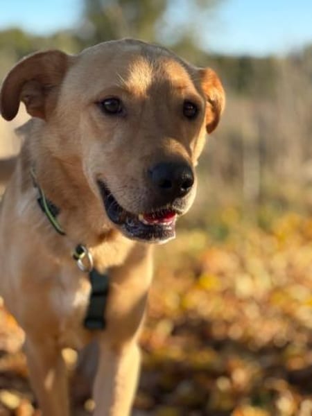Boomer - aktiver Herzensbrecher