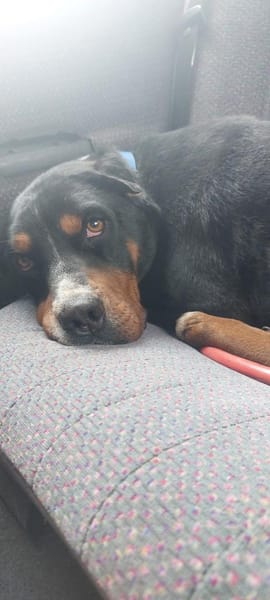 Tobi, der kinderliebe feine Kerl