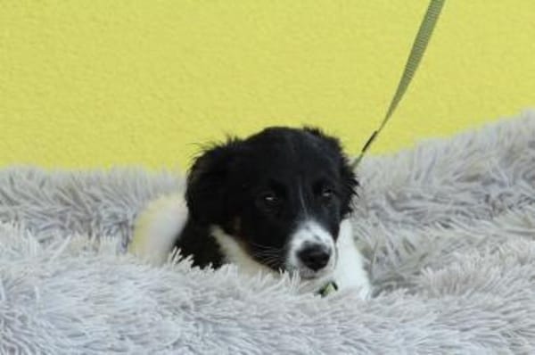 Momo möchte endlich ankommen....