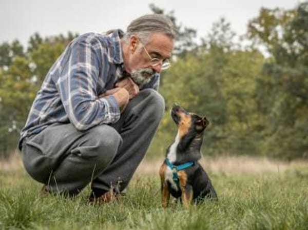 Möchten Sie Pralino bei sich aufnehmen?