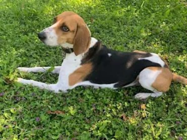 NICOLETTA - eine tolle Begleitung