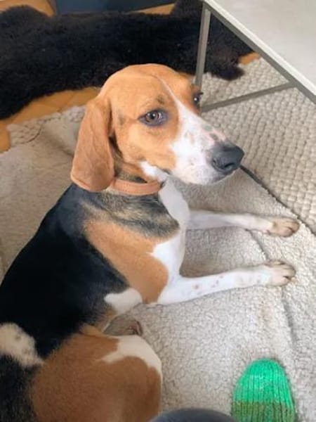 NICOLETTA - eine tolle Begleitung