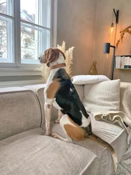 NICOLETTA - eine tolle Begleitung