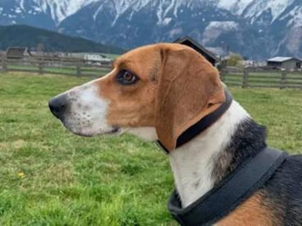 NICOLETTA - eine tolle Begleitung