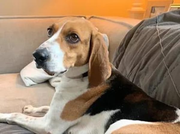 NICOLETTA - eine tolle Begleitung