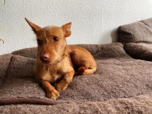 Maite unsere kleine Mutter Courage