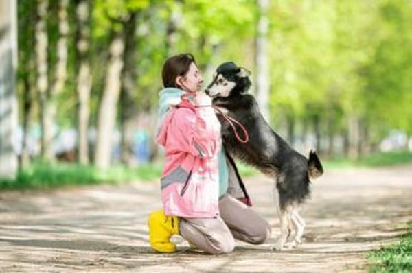 Frohnatur Lina sucht liebevolles Zuhause