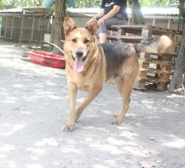 Cezar war nur eingesperrt