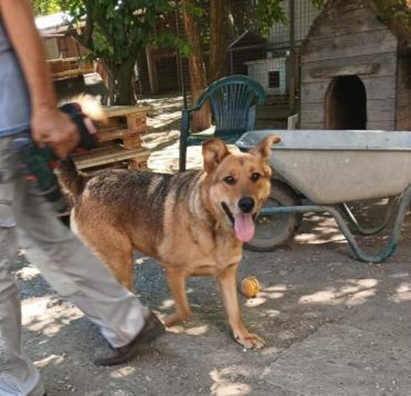 Cezar war nur eingesperrt