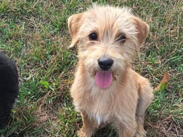 Die süße Wendy möchte ausreisen