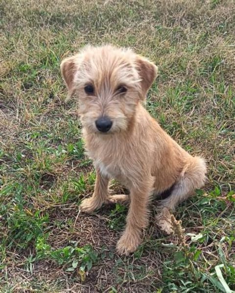 Die süße Wendy möchte ausreisen