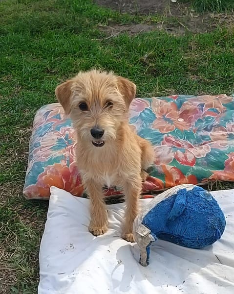 Die süße Wendy möchte ausreisen