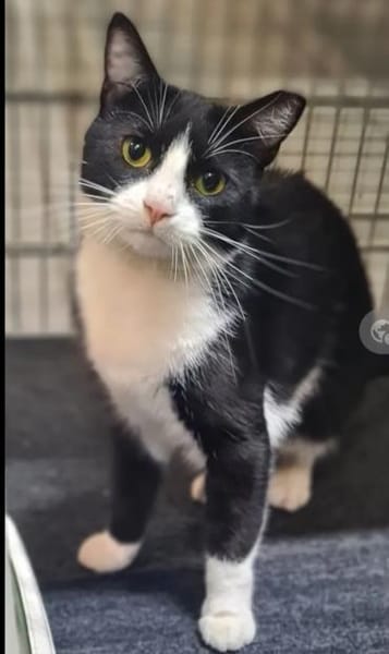Minnie Sonnenscheinchen sucht Familie