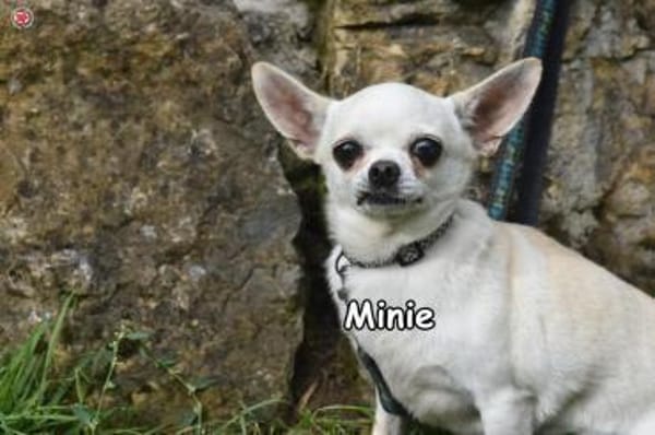 MINIE
