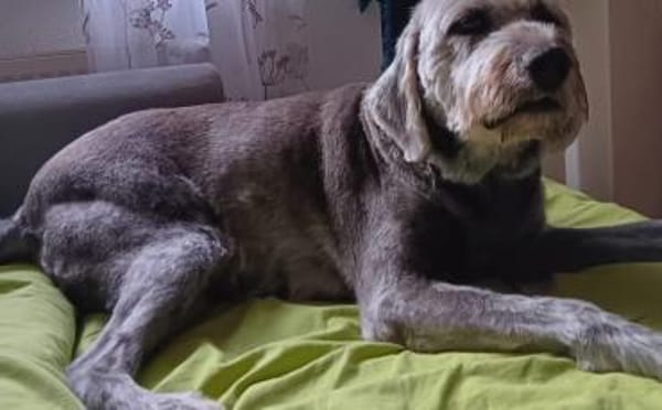 Aria wartet auf ihre Familie
