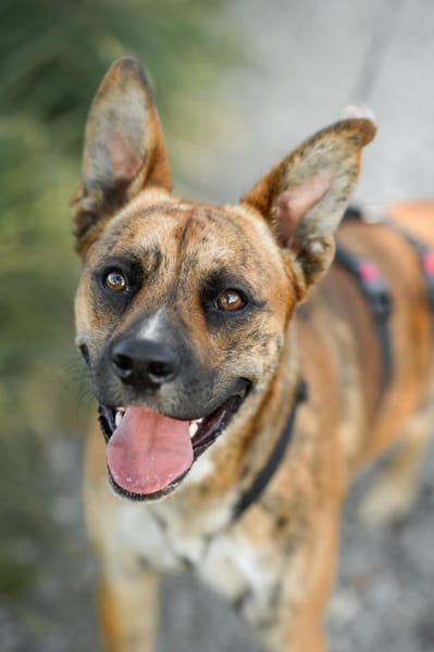 Max