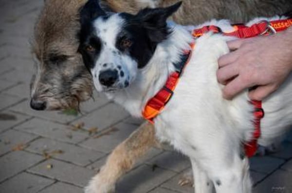 Lea sucht ihre Familie