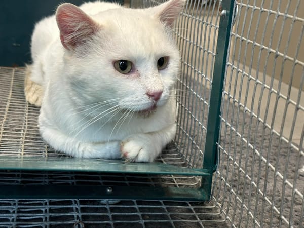 CASPER