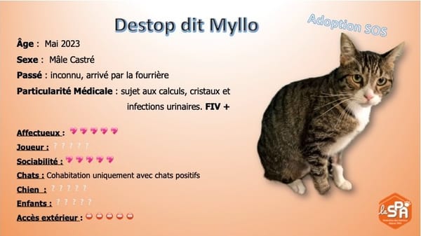 DESTOP dit myllo