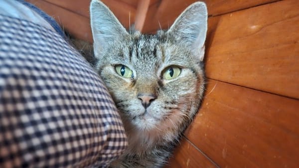 ANOUCHKA
