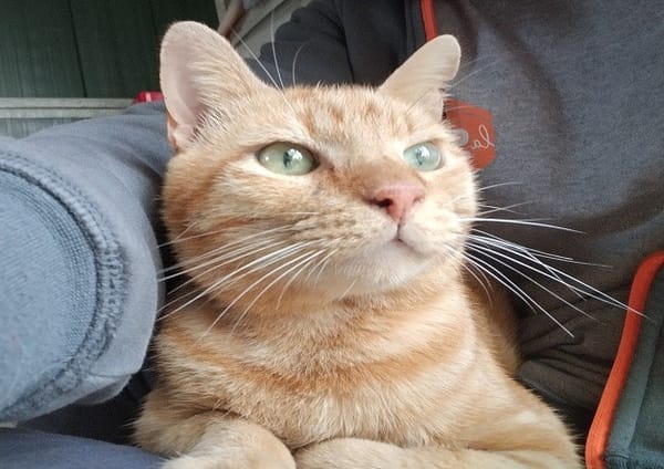 DIKY (réservé)