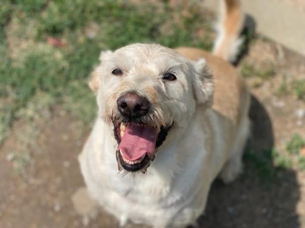 Nilo