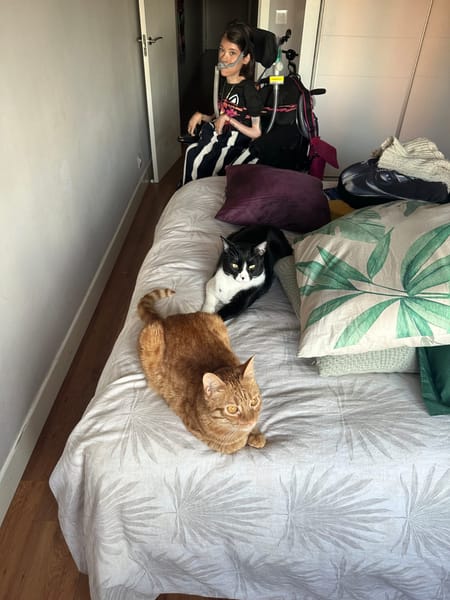 FÍGARO Y FRIDA