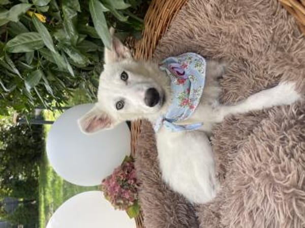Billy