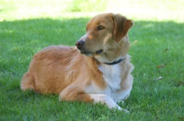 Nina - hübsche Griechin auf der Suche
