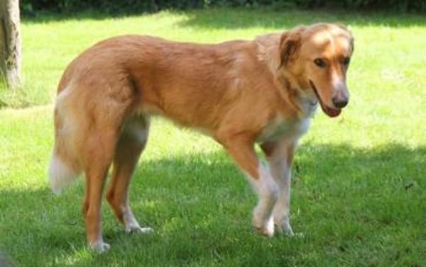 Nina - hübsche Griechin auf der Suche