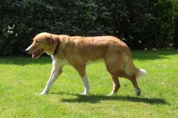 Nina - hübsche Griechin auf der Suche