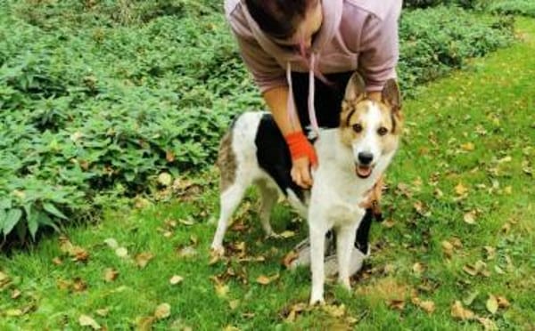 Wer schenkt Loon ein Leben voller Liebe?