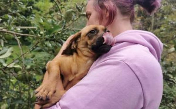 Süße Kuschelmaus Nyla