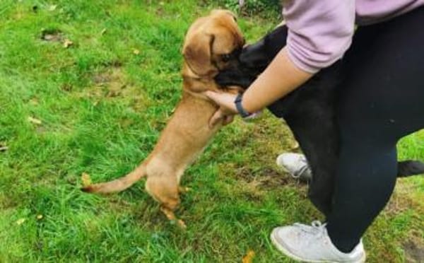 Süße Kuschelmaus Nyla