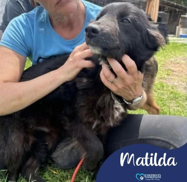 Matilda
