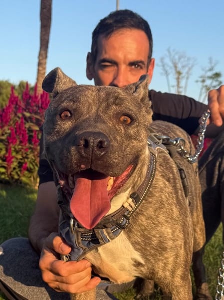 ELVIS (Amigos Peludos)